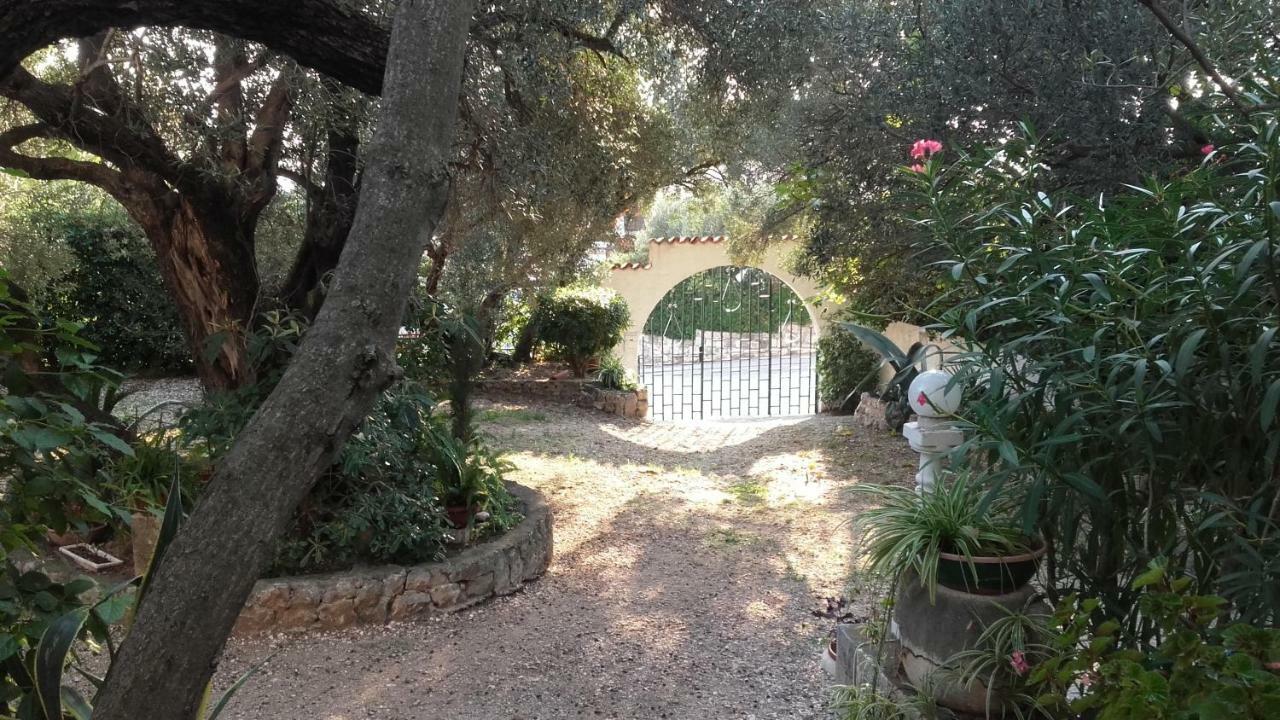Appartamento Daniela Makarska Esterno foto
